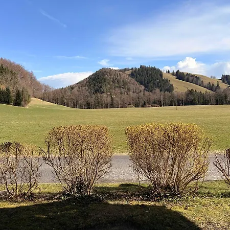 Gschwendtnerhof App6 Sauter Appartement